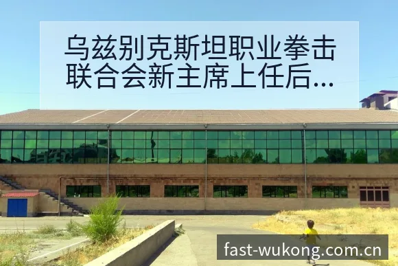 乌兹别克斯坦职业拳击联合会新主席上任后的赛程前瞻与风险分 - 悟空体育