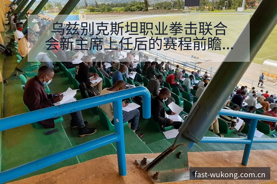 乌兹别克斯坦职业拳击联合会新主席上任后的赛程前瞻与风险分 - 悟空体育